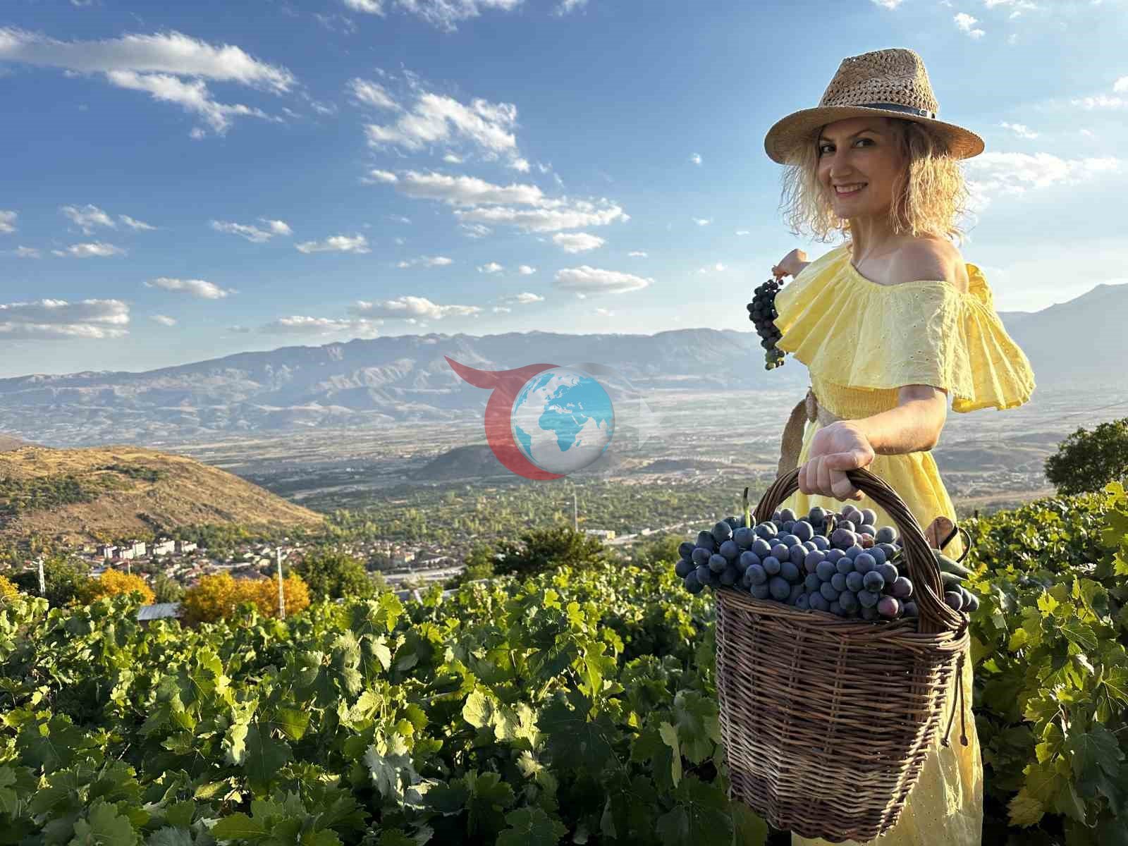 Илимий изилдөөлөр Cimin жүзүмүнүн уругунун күчтүү таасирин аныктады