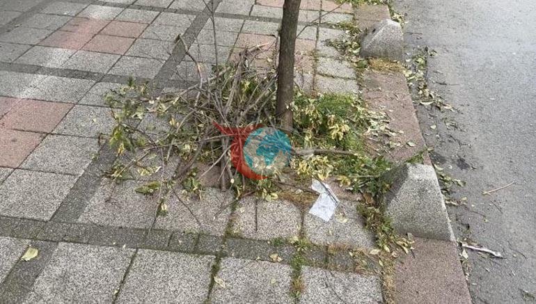 İstanbulda qorxulu gecə. Qadın həkim vəkil sevgilisinin evində terrasdan yıxıldı, intubasiya edildi.