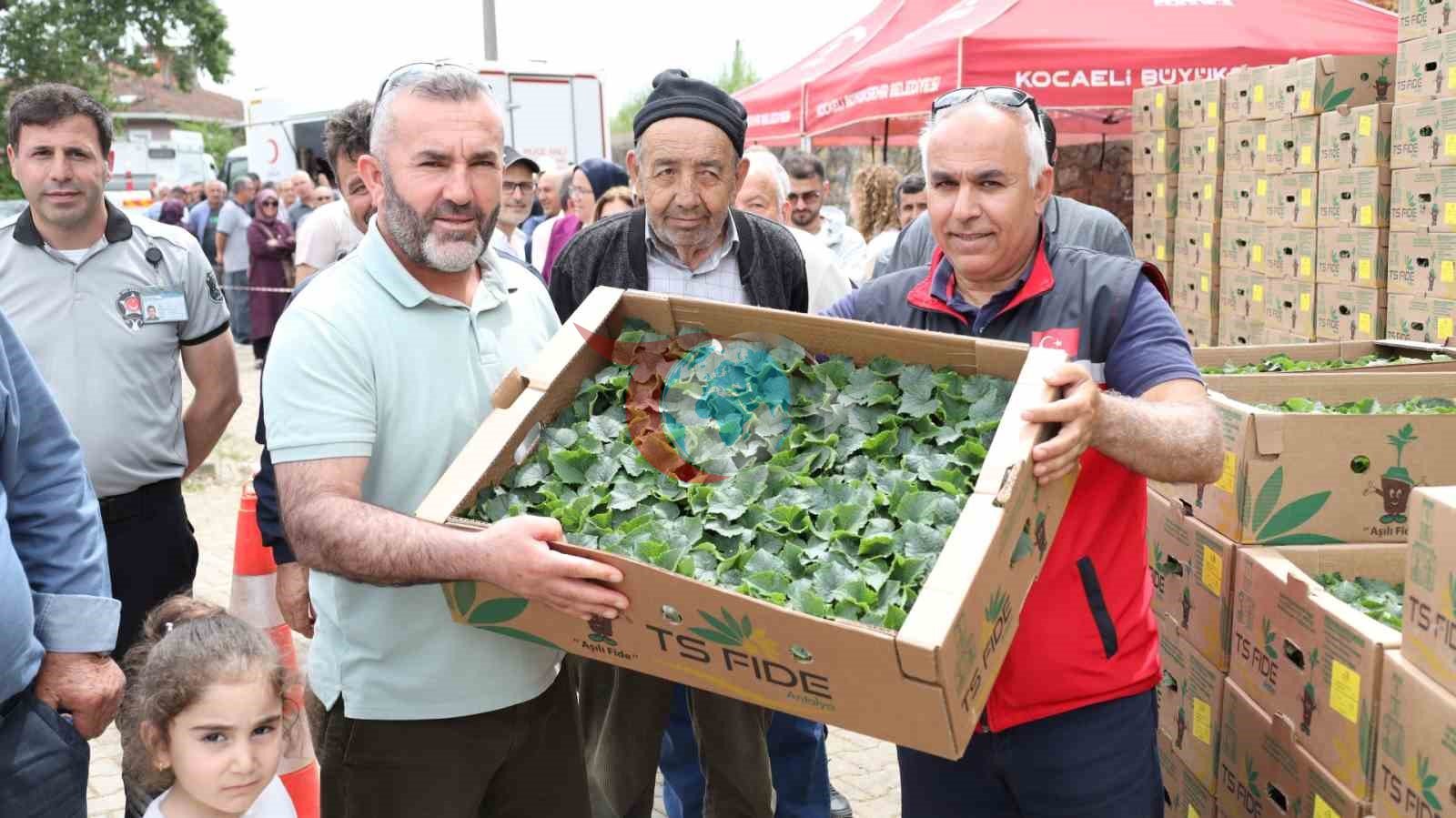 Gebzeli Çiftçilere 500 Bin Fide Desteğiyle Tarımsal Kalkınma