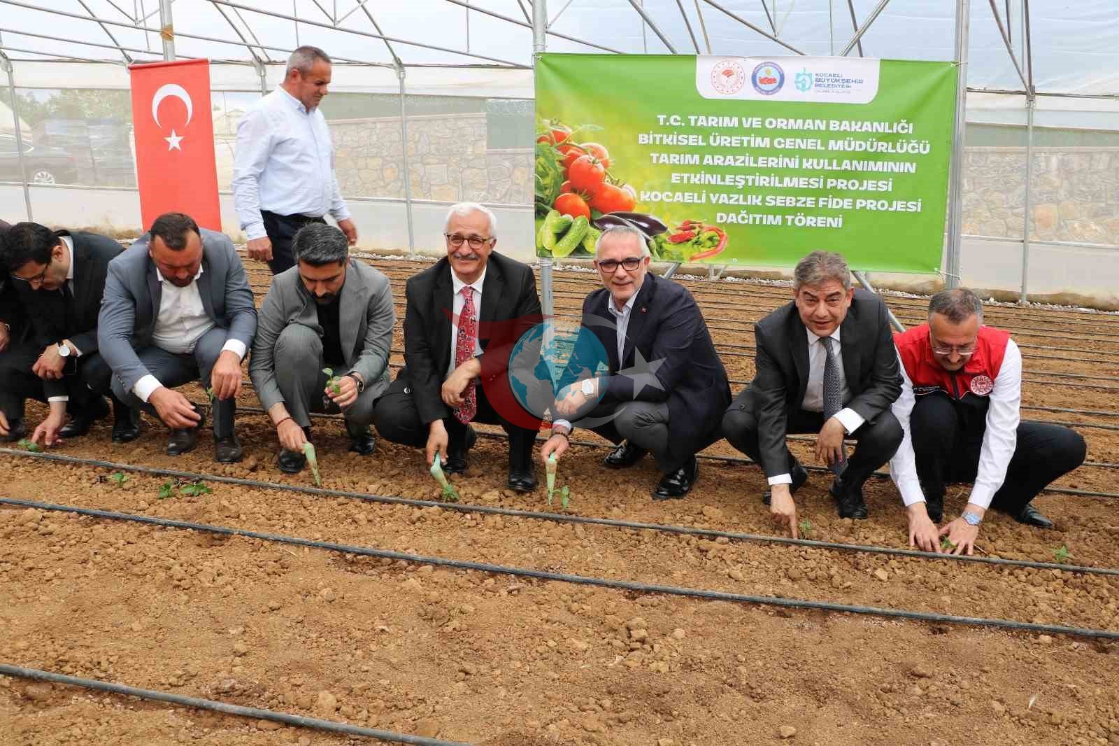 Gebzeli çiftçiye 500 bin sebze fidesi desteği