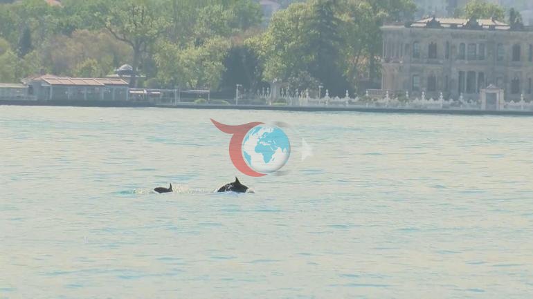 Boğazda böyük sürpriz. Su üzə çıxdı