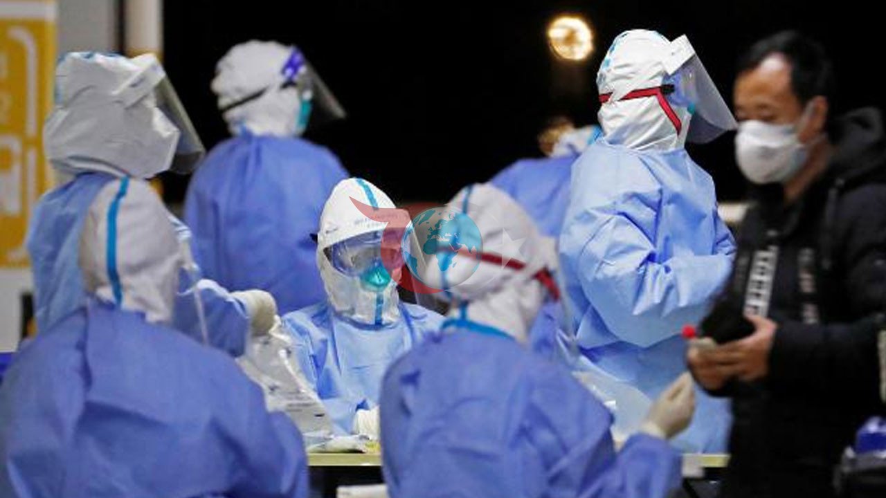 Hantavirus təhlükəsi qlobal səviyyədə aşağı olaraq qalır