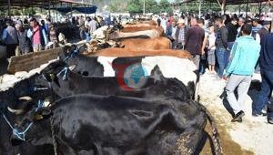 Qurban bazarında əl sıxmaq tarixdir
