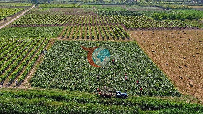 Üreticilere 374,7 milyon liralık IPARD-III ödemesi hesaplarda