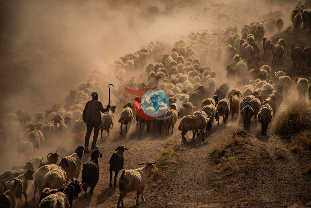 2026 Hevsel Kupası'nda Fotoğraf Sanatçıları Buluştu
