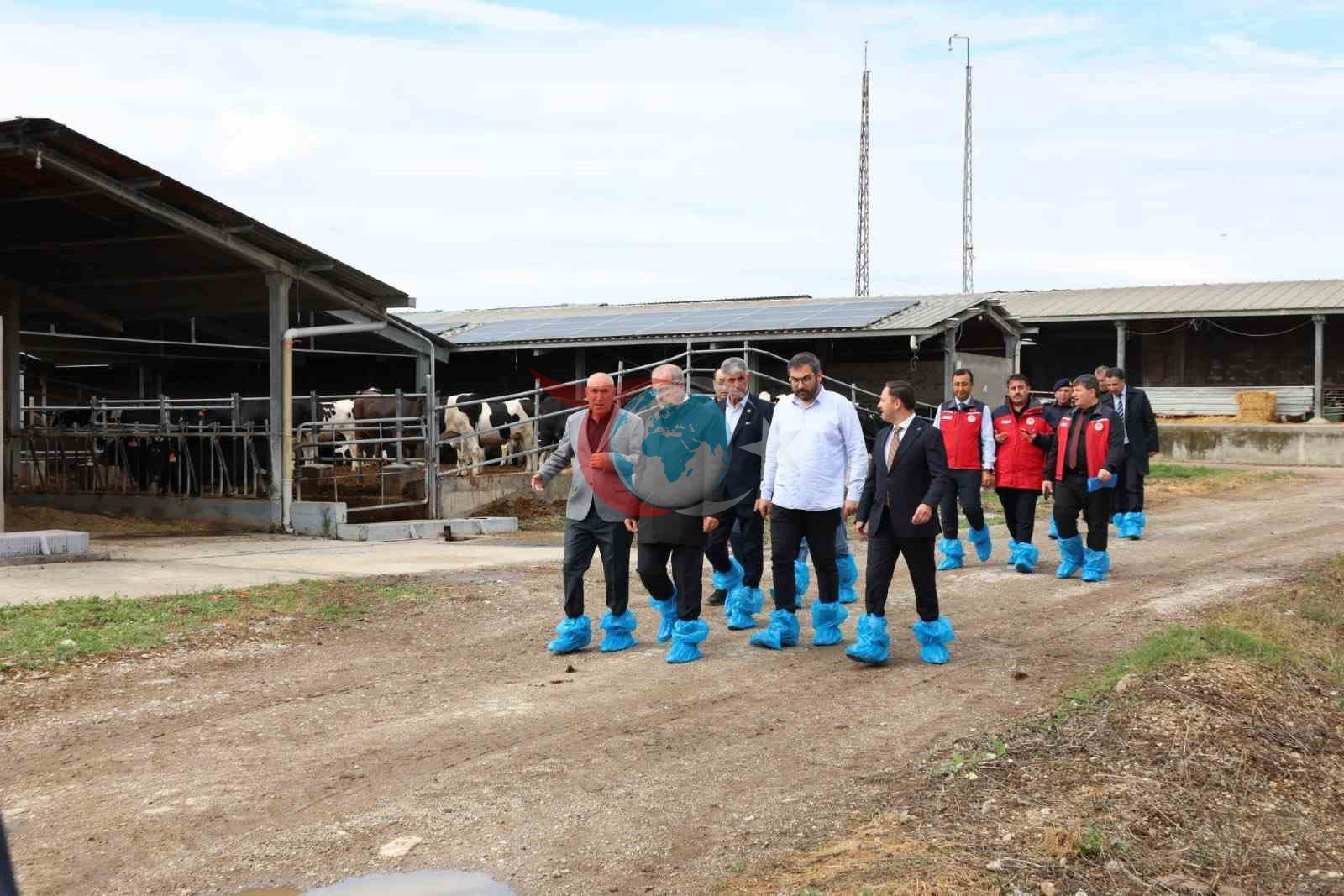 Çanakkale'de Kurban Bayramı Öncesi Hayvancılık Tesislerinde Detaylı İnceleme