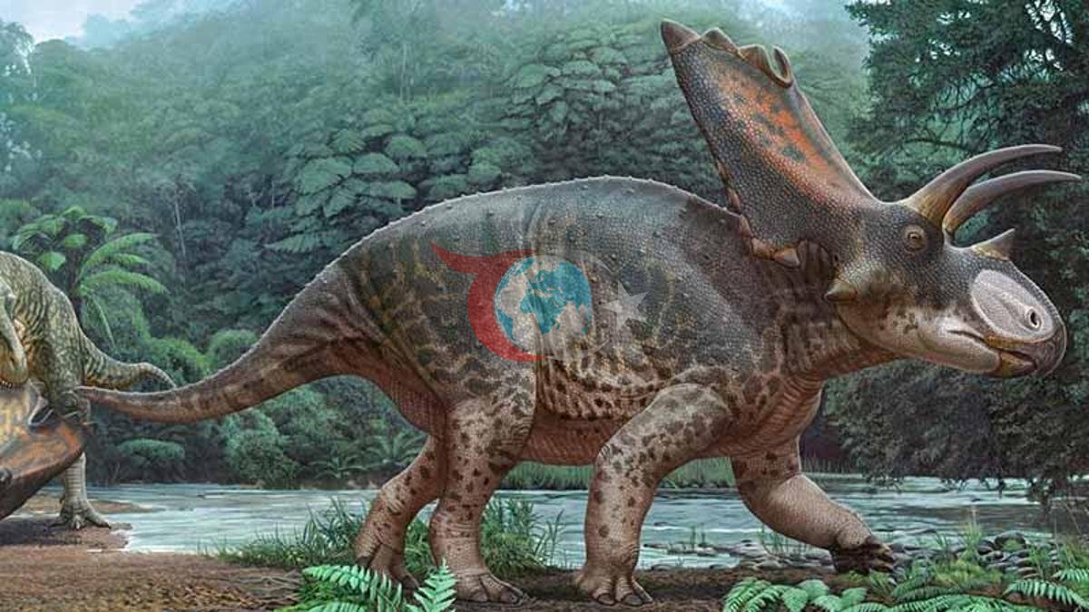 Tayland'da Yeni Bir Dinozor Türü Keşfedildi: Nagatitan chaiyaphumensis