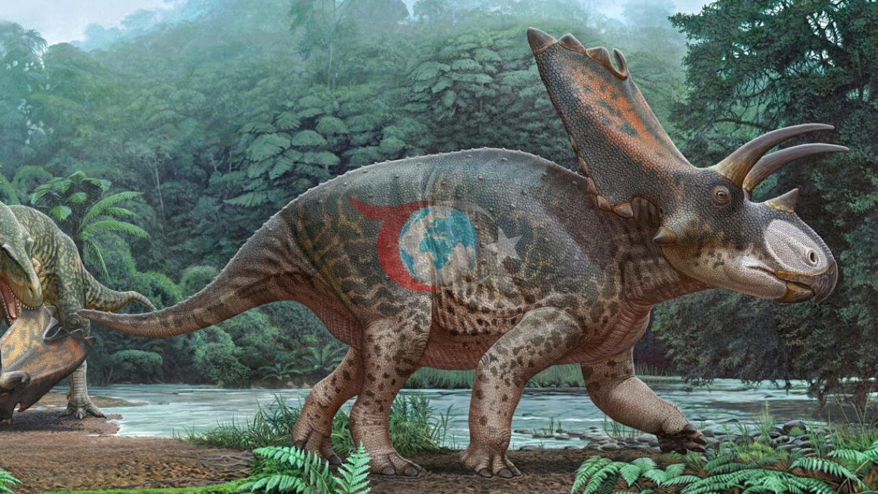 Tayland'da Devasa Dinozor Fosili Keşfi Heyecan Yarattı
