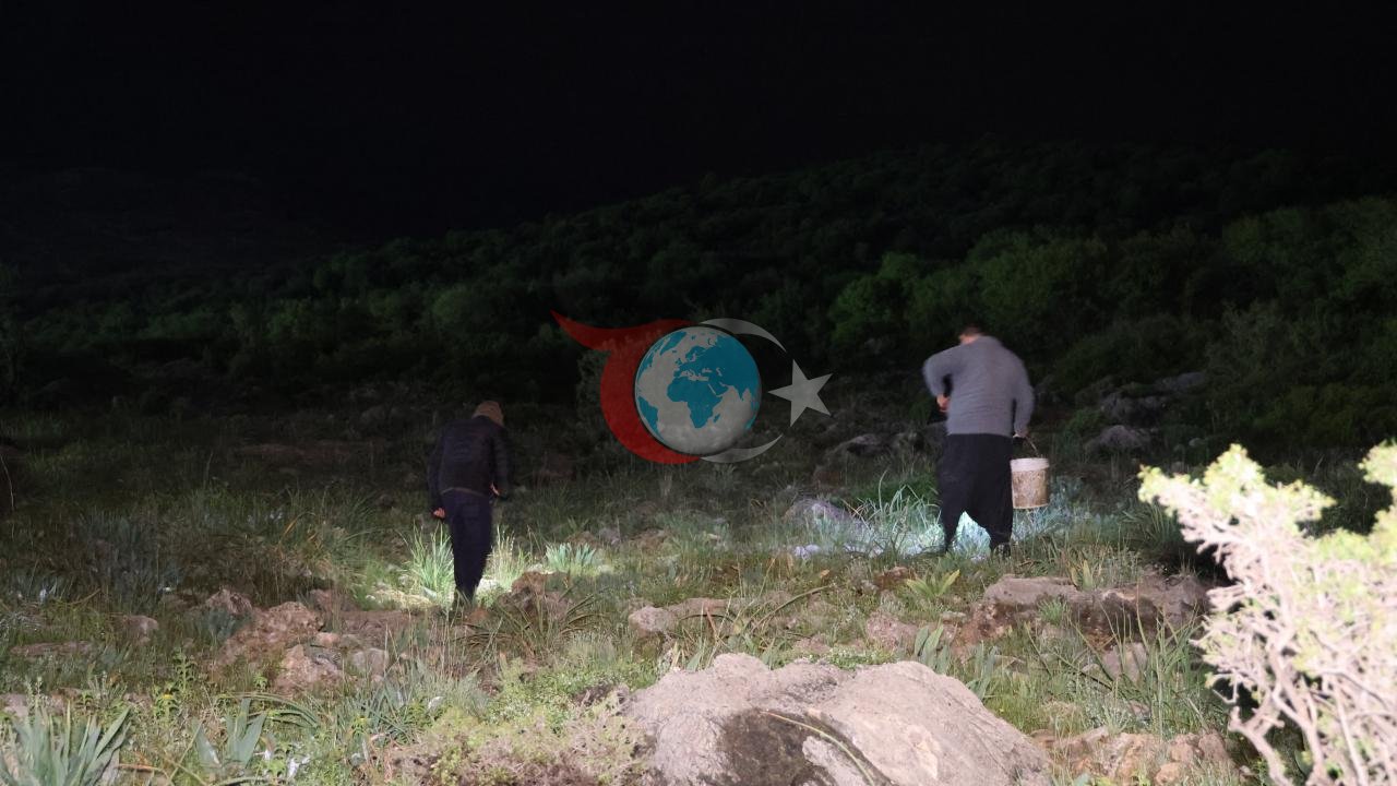 Adana'da Gece Yürüyüşü: Fener Eşliğinde Salyangoz Avı