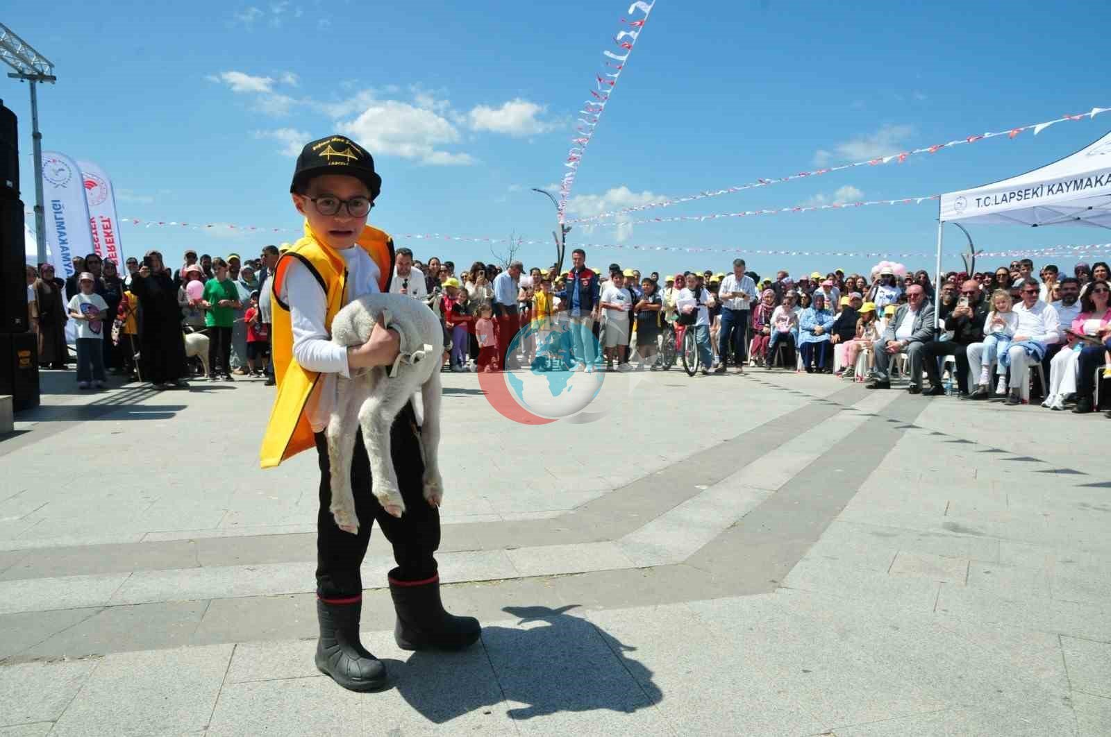 Çanakkale'de Minik Çobanlar Yetişiyor: Unutulmaz Bir Yarışma