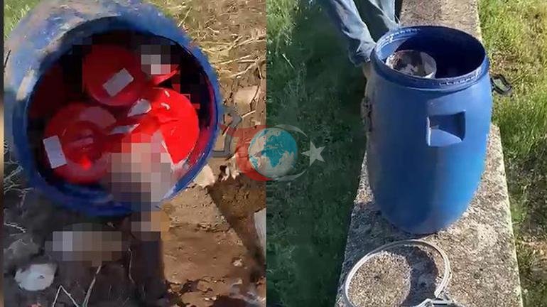 Şanlıurfada salamlaşma hadisəsi Qəbiristanlıqdakı çəlləyə 21 insan dölü tapıldı. width=