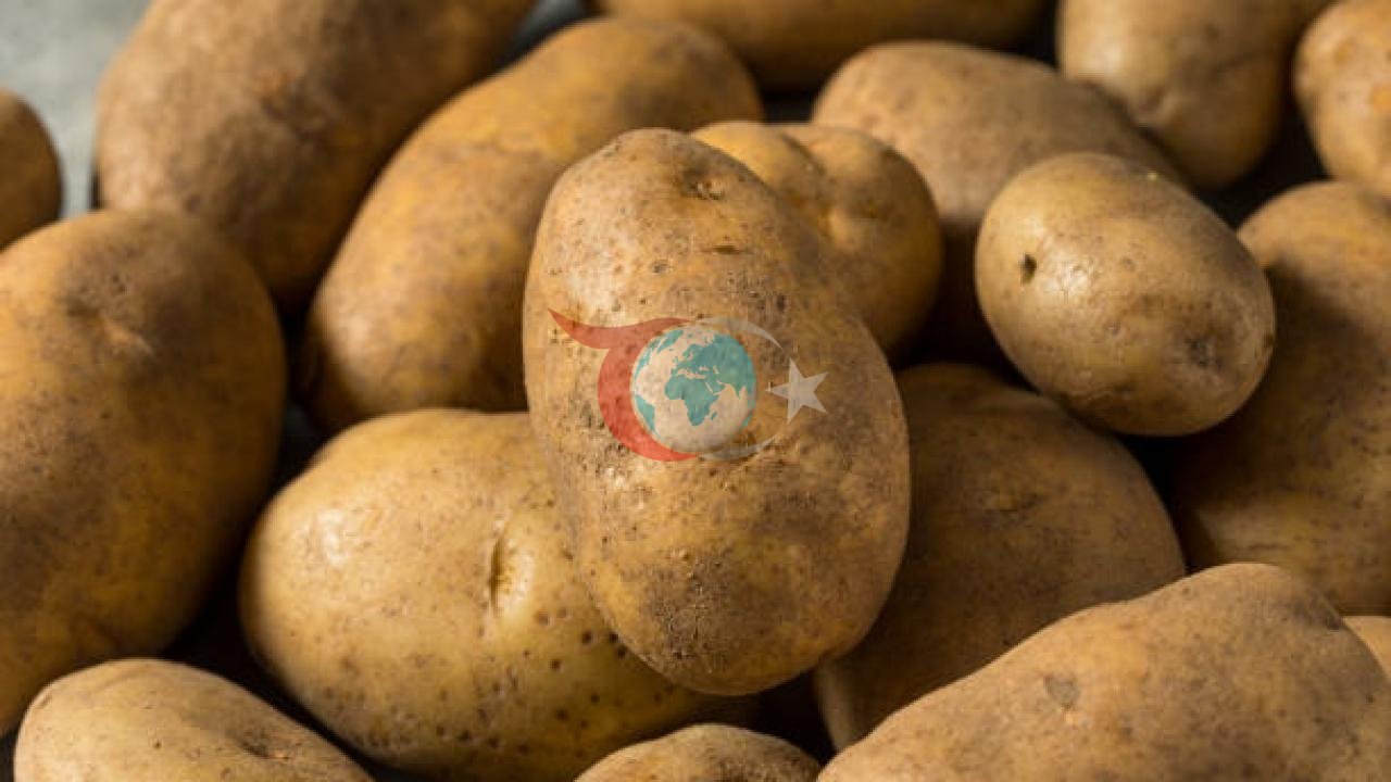 Patates Fiyatlarında Şok Artış: Avrupa Tarımında Kriz