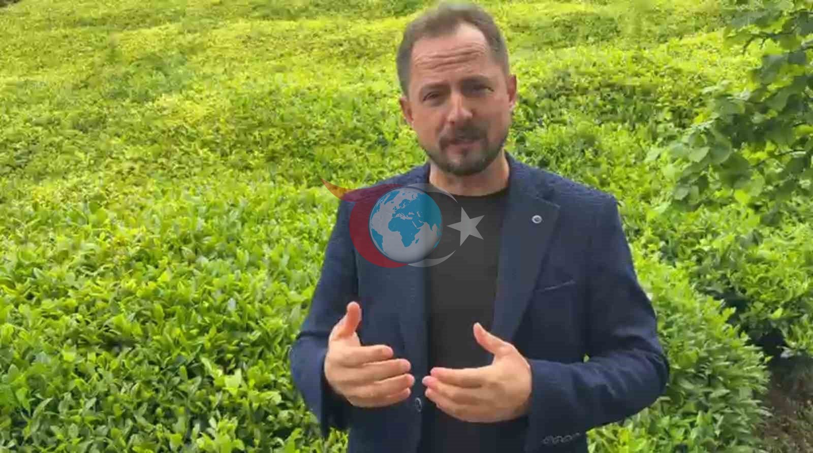 Bu da Rizelilerin jakuzisi ‘Çaykuzi’