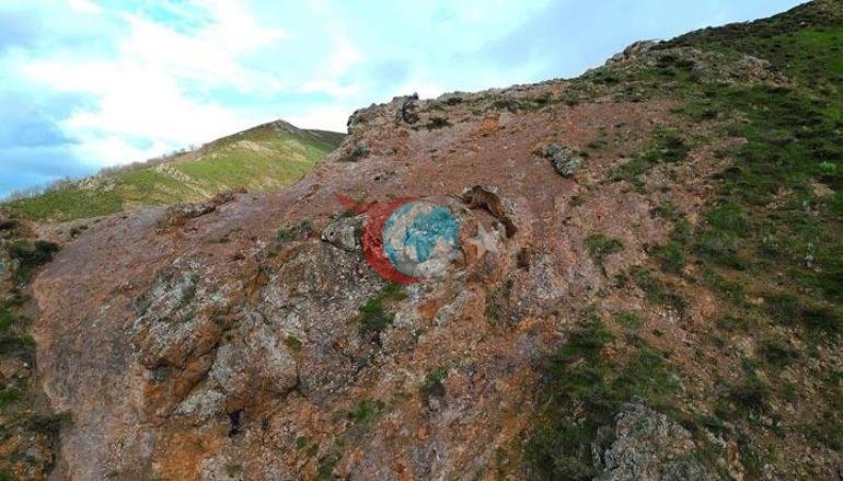 Anne ayı yavrularını kartaldan böyle korudu Doğada inanılmaz anlar