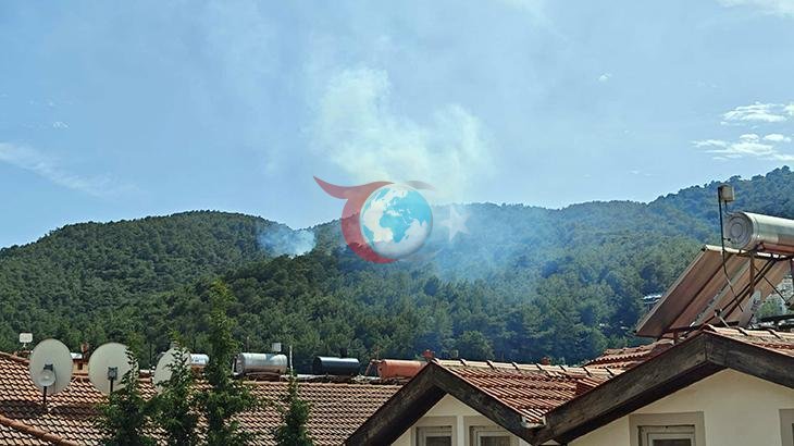 Muğla'da Çıkan Orman Yangını Kontrol Altına Alındı