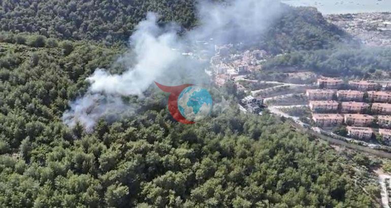 Muğlada meşə yanğını