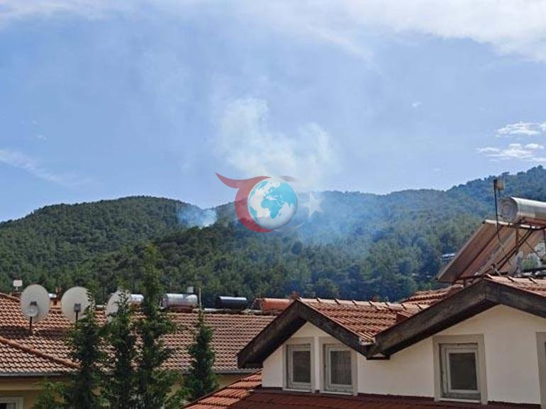 Muğlada meşə yanğını