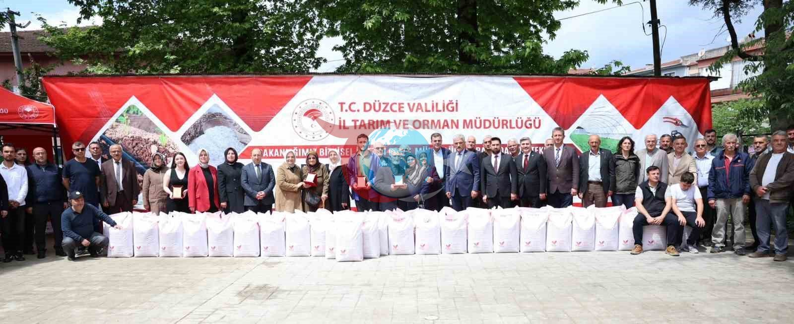 Düzcedə fermerlərə yem bitkilərinin toxumları paylandı