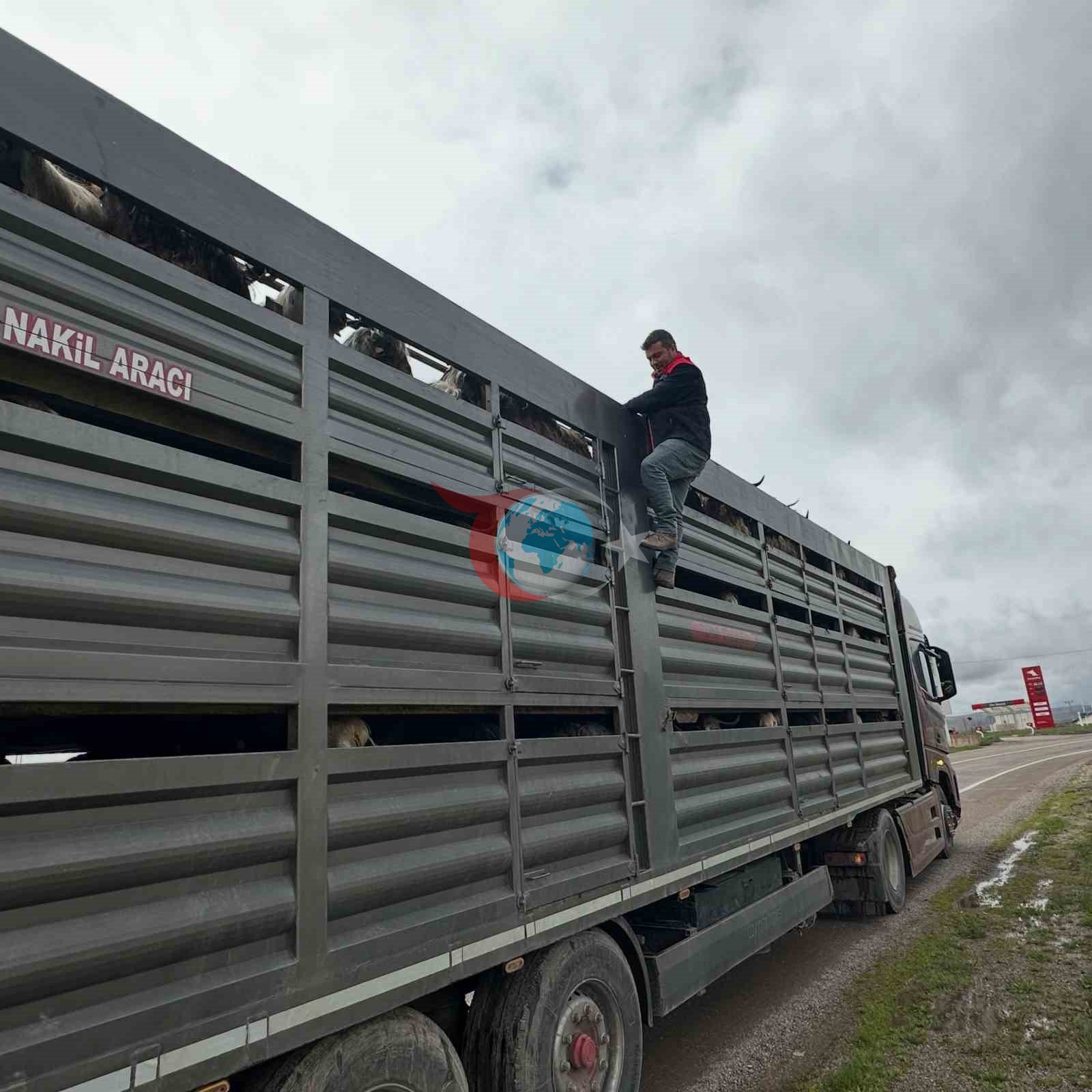Kurban Bayramı öncesi Aydıntepe&rsquo;de yol kontrolleri devam ediyor