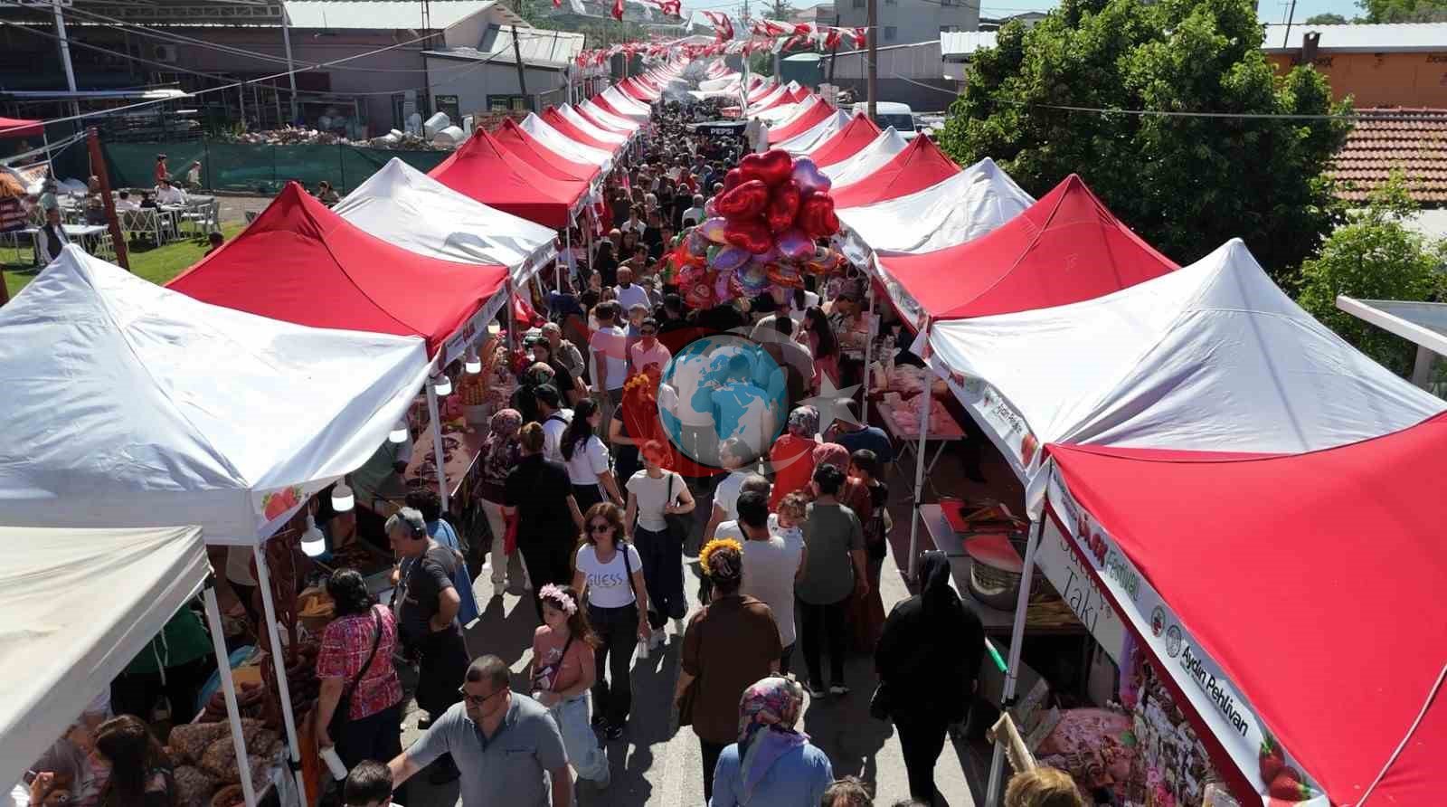 Çilek tadında festival, milyonu aşkın misafir ağırladı