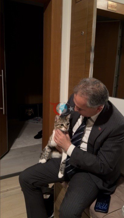 Osmaniye'de Kedi Fred, Kapı Açma Becerisiyle Hayran Bıraktı