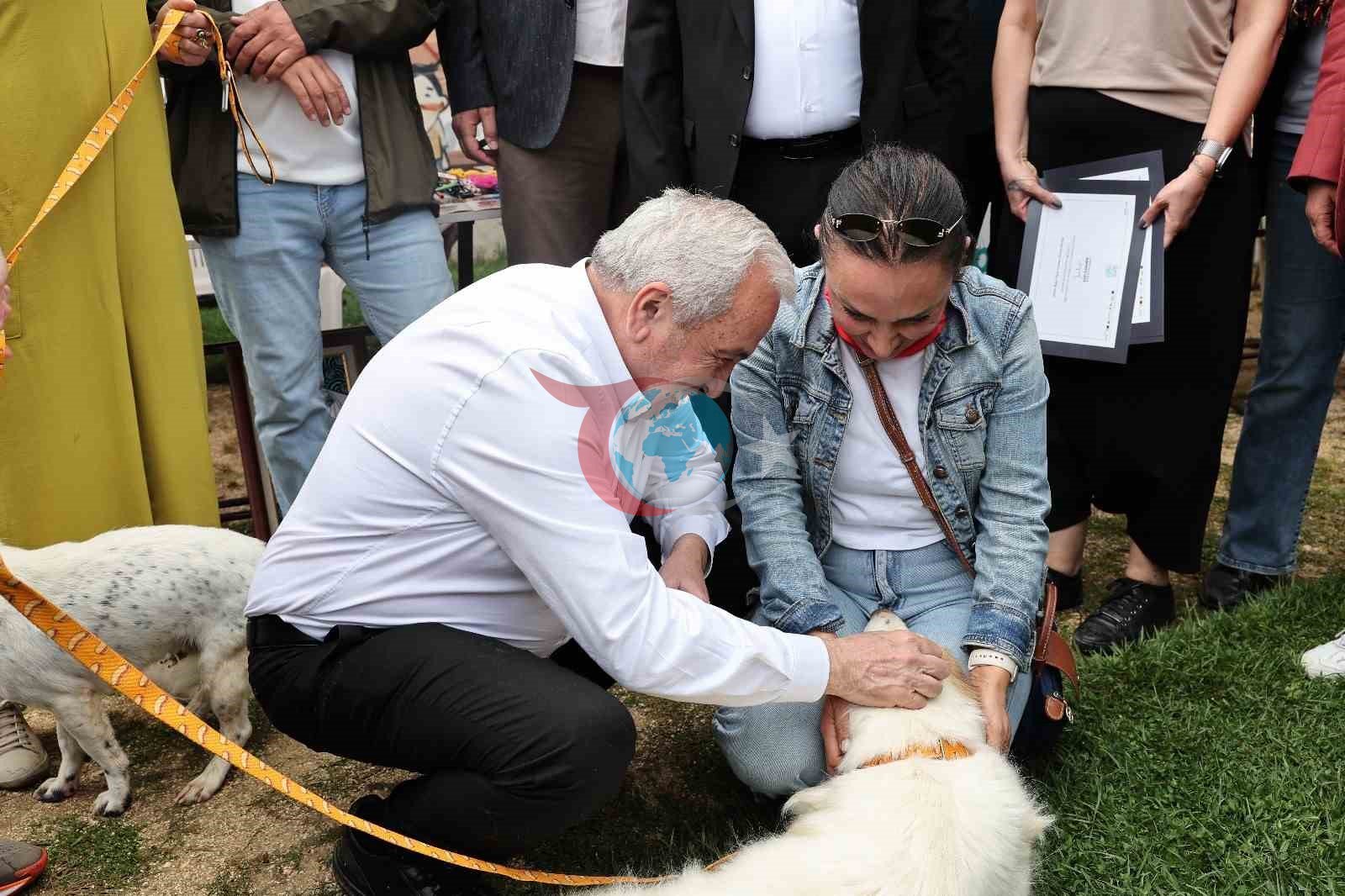 Sahiplendirme Şenliği&rsquo;nde can dostlara yeni yuva