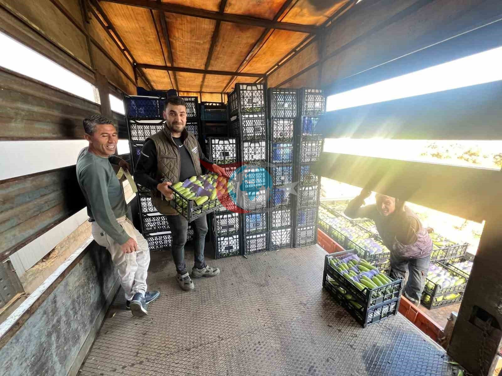 İznik'te İlk Kabak Hasadı Başladı: Ürünler Pazarda