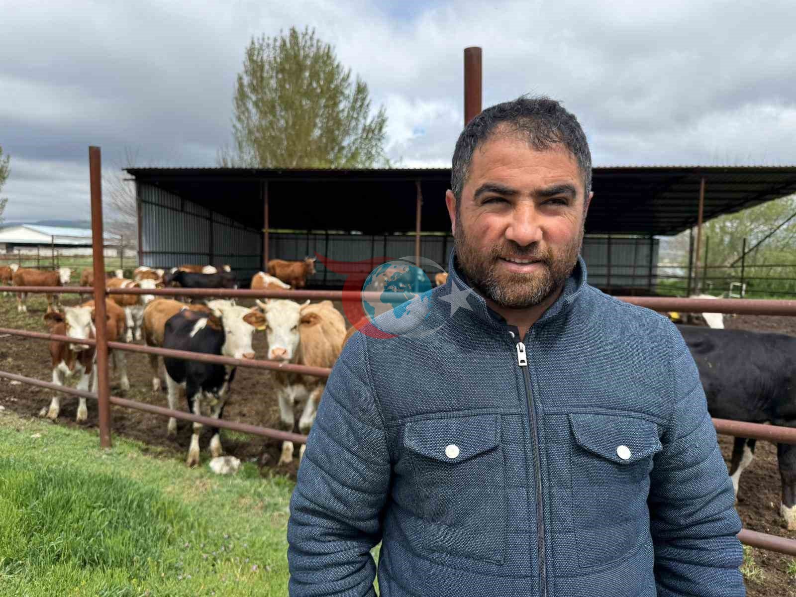 Eskişehir’de büyükbaş kurbanlık bitti, üreticinin yüzü güldü