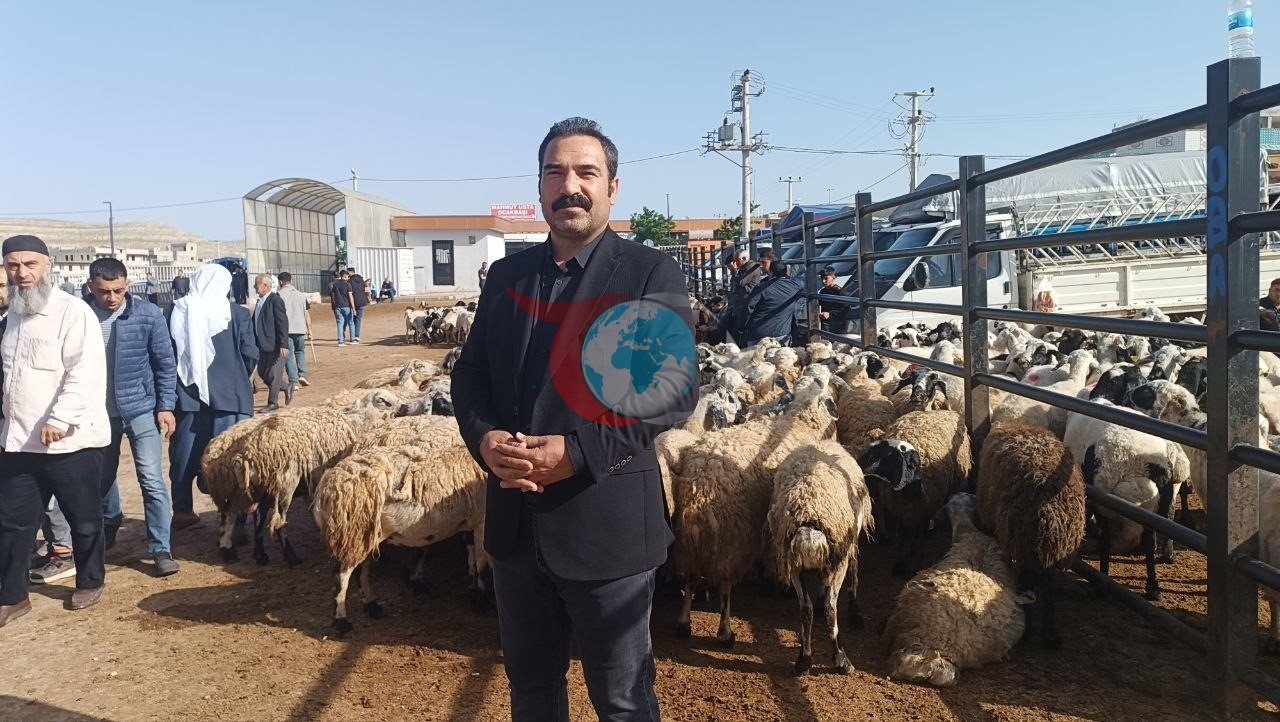 Şanlıurfa'da Kurbanlık Pazarında Besiciler ve Komisyoncuların Çekişmesi