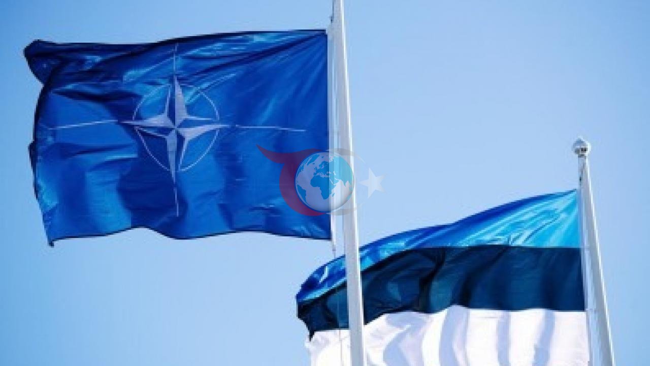 NATO ve Estonya'dan Ortak İHA Soruşturması