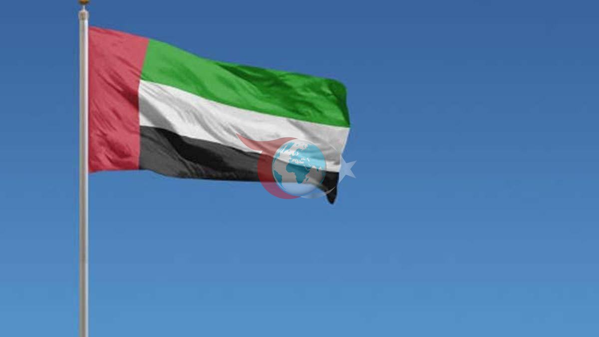 BAE, Son 48 Saatte Irak Kaynaklı 6 İHA'yı Durdurdu