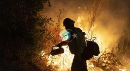 ABD'de California alevlere teslim! Yangın felaketi büyüyor, 14 binden fazla dönüm etkilendi