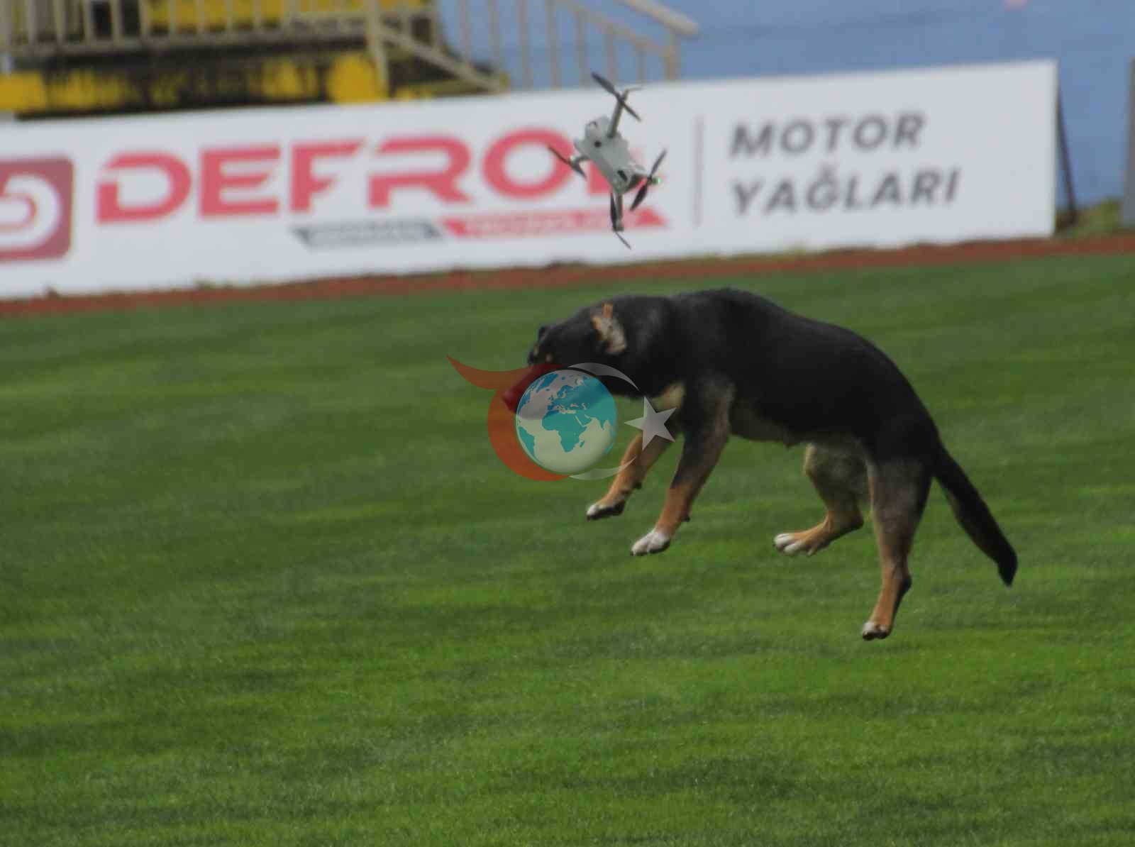 19 Mayıs Kutlamalarında Köpeğin Dronu Düşürdüğü Anlar
