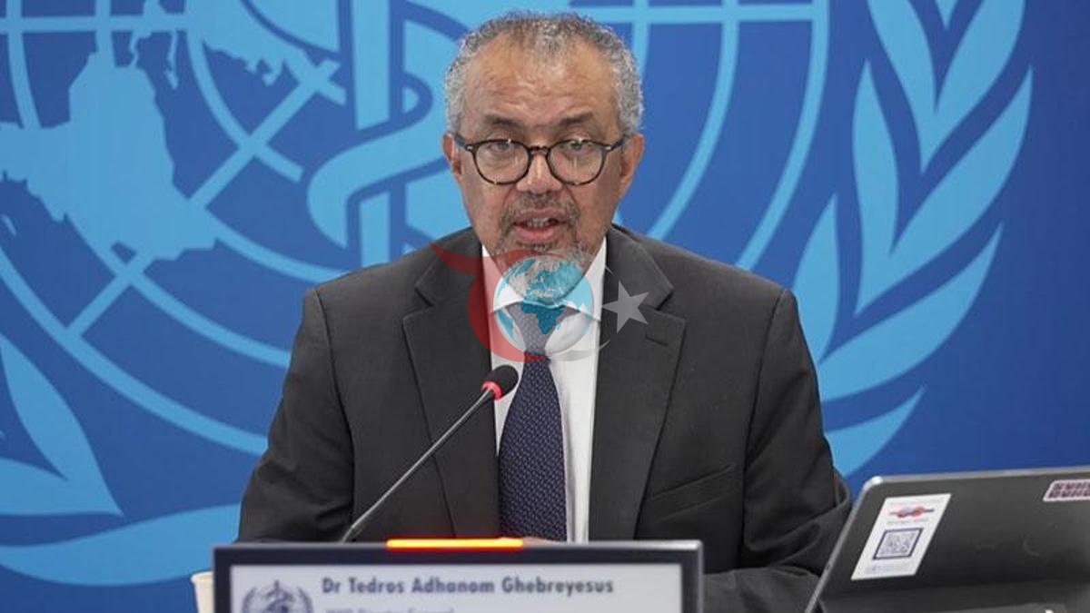 DSÖ: Ebola Salgını Bölgesel Risk Taşıyor, Küresel Tehdit Düşük