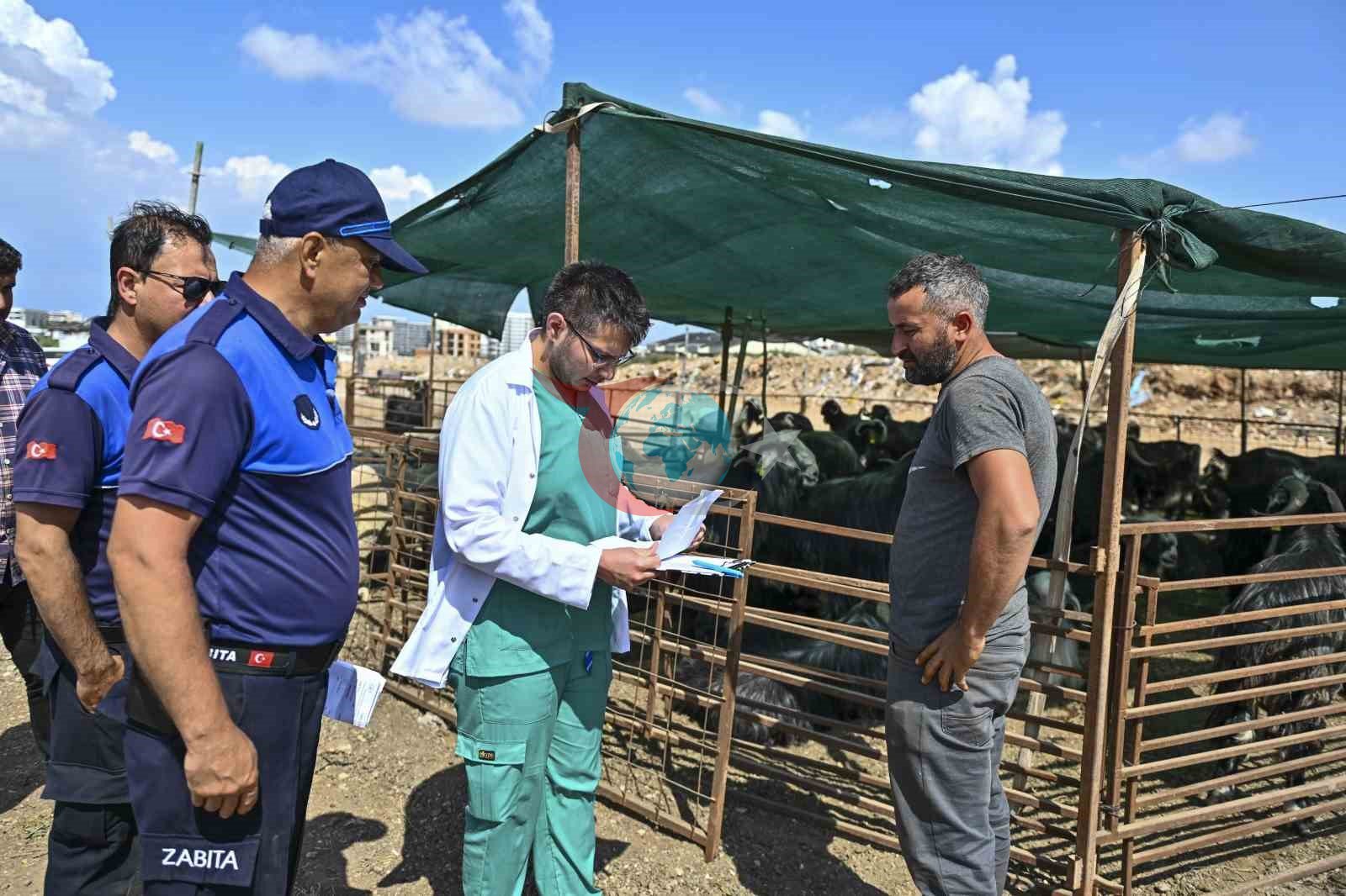 Muratpaşa'da Kurban Bayramı Hazırlıkları Tamamlandı