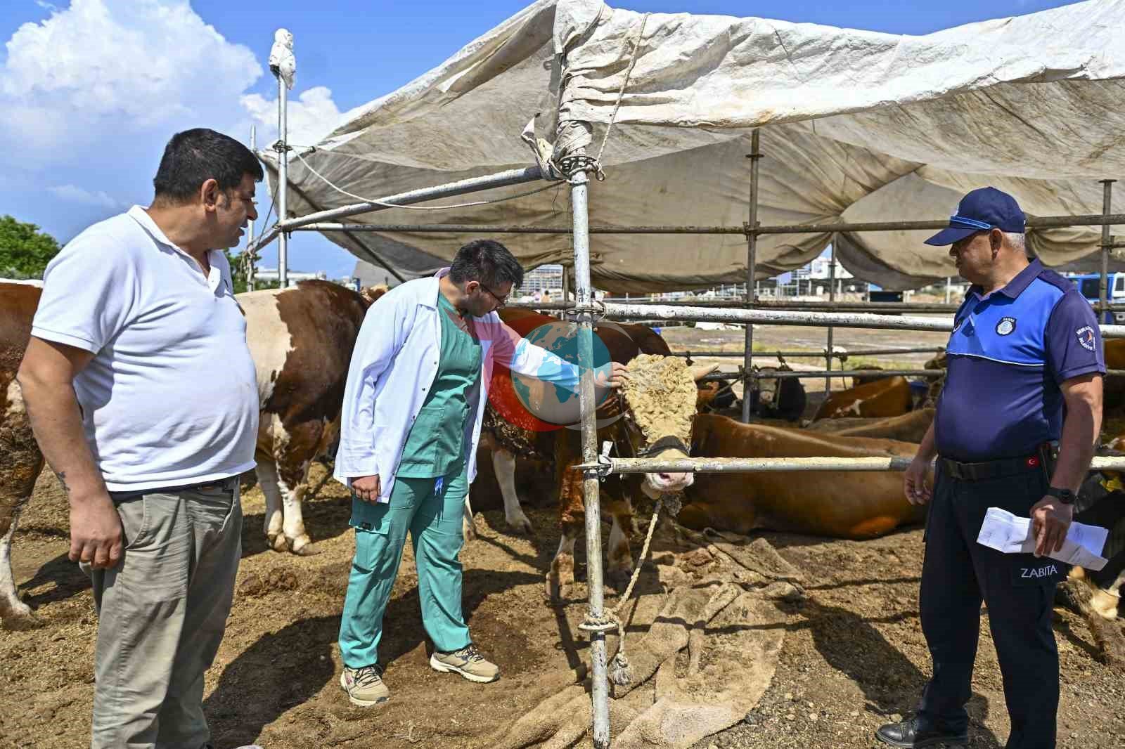 Muratpaşa’da Kurban Bayramı hazırlıkları tamamlandı