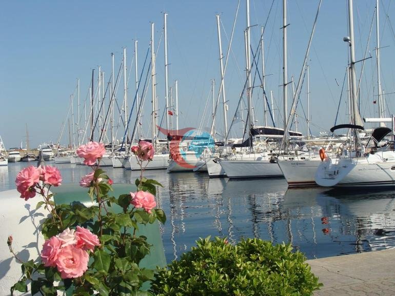 Aralıq dənizində mavi rəqabət Türkiyənin mavi bayraqlı çimərliklərinin sayı 580-ə yüksəldi. width=