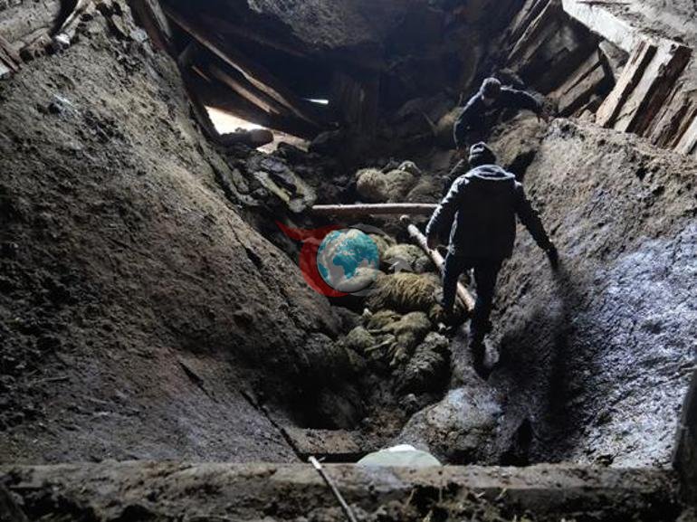 Kastamonu’da facia Sağım için girdiği ağıl mezarı oldu