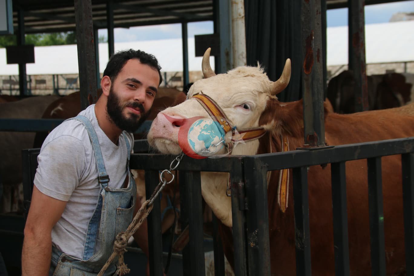 Denizli'de Kurban Pazarı Canlanıyor: Rekor Hayvan Girişi Bekleniyor