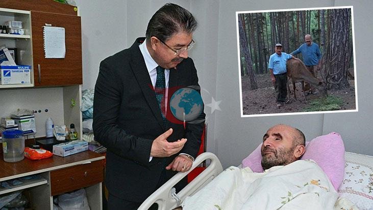 Geyik Çobanının Hayatını Değiştiren Talihsiz Olay
