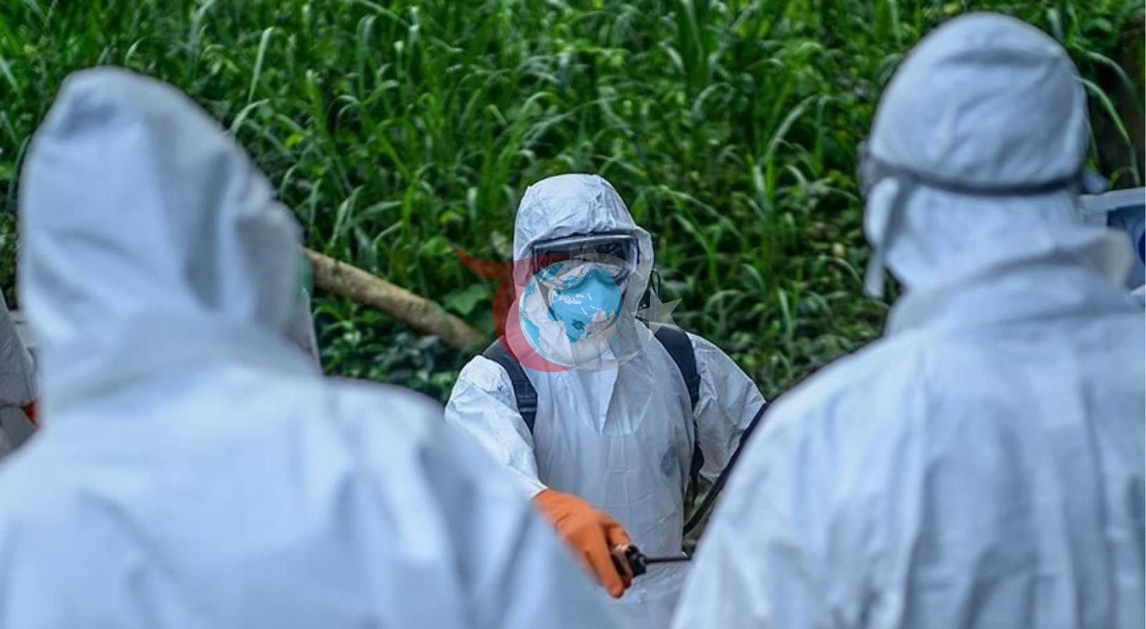 Ebola Salgını Tırmanıyor: 139 Ölüm Şüphesi