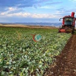 Bakan Yumaklı duyurdu: Üreticilere 374,7 milyon liralık IPARD-III ödemesi hesaplarda