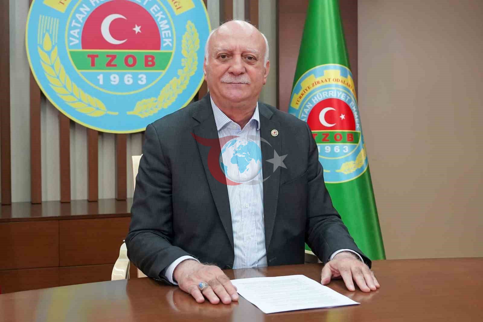 Kurban Bayramı'nda 3,3 Milyon Hayvan Kesilecek: Ekonomik Etkiler