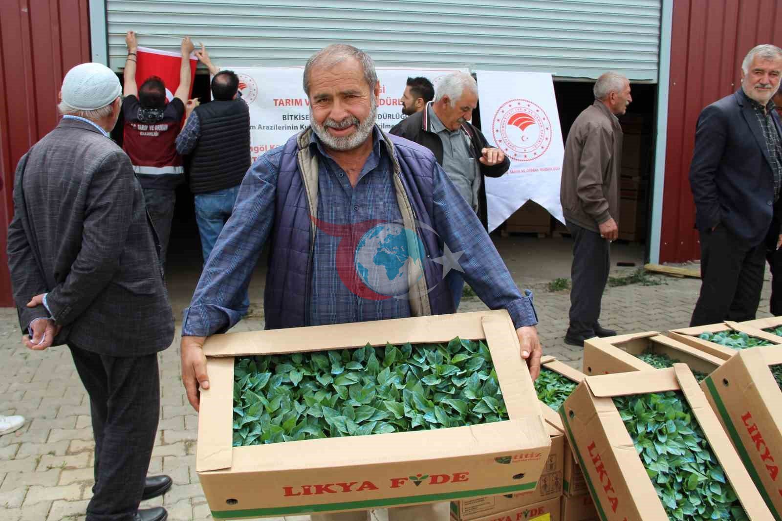 Bingöl'de Çiftçilere 330 Bin Sebze Fidesi Dağıtıldı