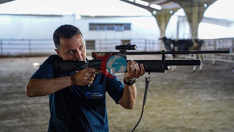Önce ip, olmazsa anestezi Antalyanın eğitimli kurban yakalama timi göreve hazır