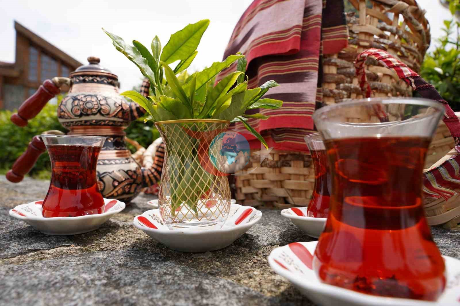 Rize'de Uluslararası Dünya Çay Günü Coşkusu