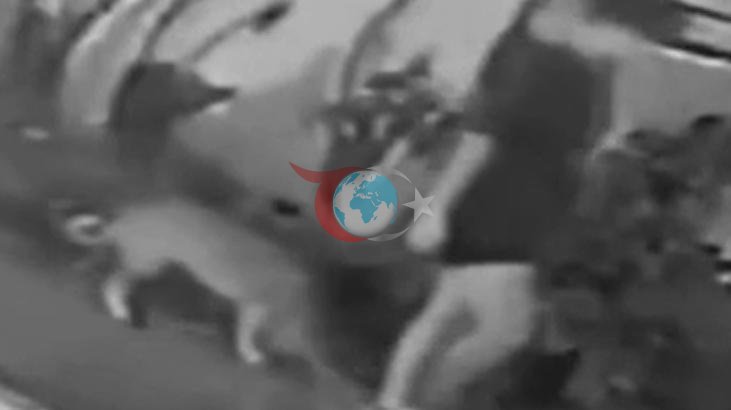 Brezilya'da Rögar Kapağı Faciası: Genç Kadın Ölümden Döndü