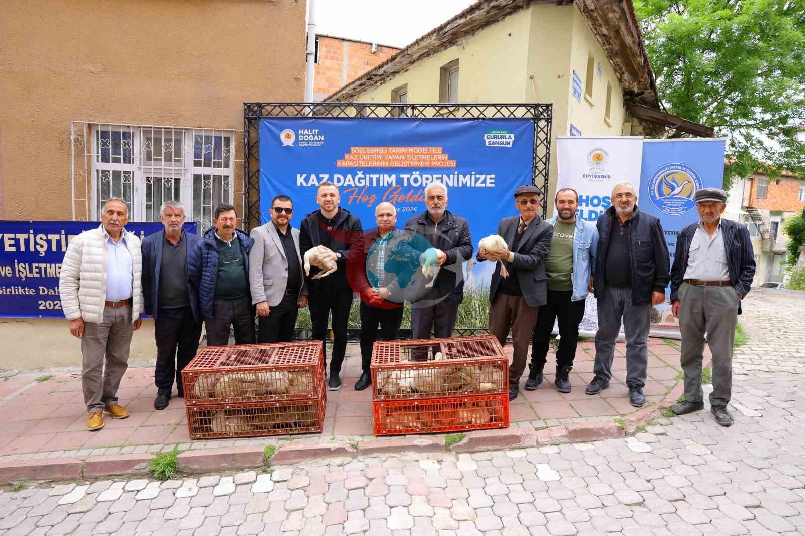 Samsun'da Üreticilere Yüzde 50 Hibeli Kaz Desteği