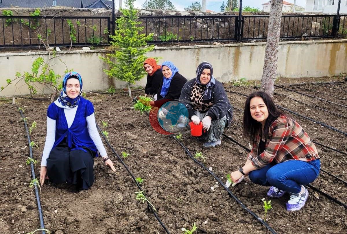 Altıntaş’ta Yerli Tohumdan Domates Dikimi Etkinliği