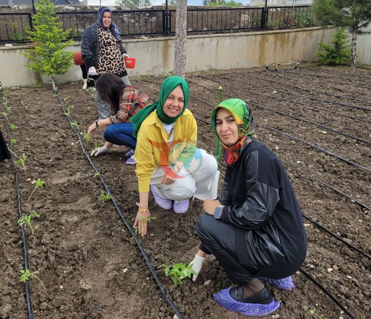 Altıntaş&rsquo;ta öğretmenler domates fidelerini toprakla buluşturdu